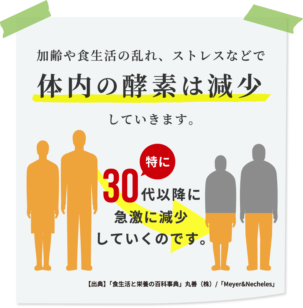 加齢や食生活の乱れ、ストレスなどで体内の酵素は減少していきます。特に30代以降に急激に減少していくのです。【出典】「食生活と栄養の百科事典」丸善（株）/「Meyer&Necheles」